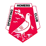 Homers Cricket Club 95X95