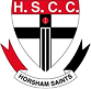 Horsham Cricket Saint New
